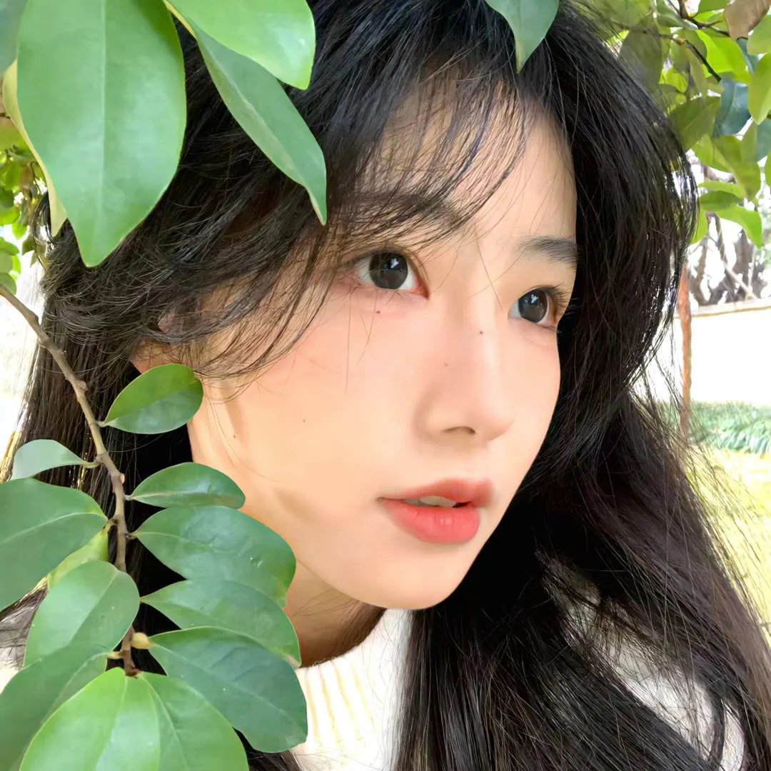 真实的故事